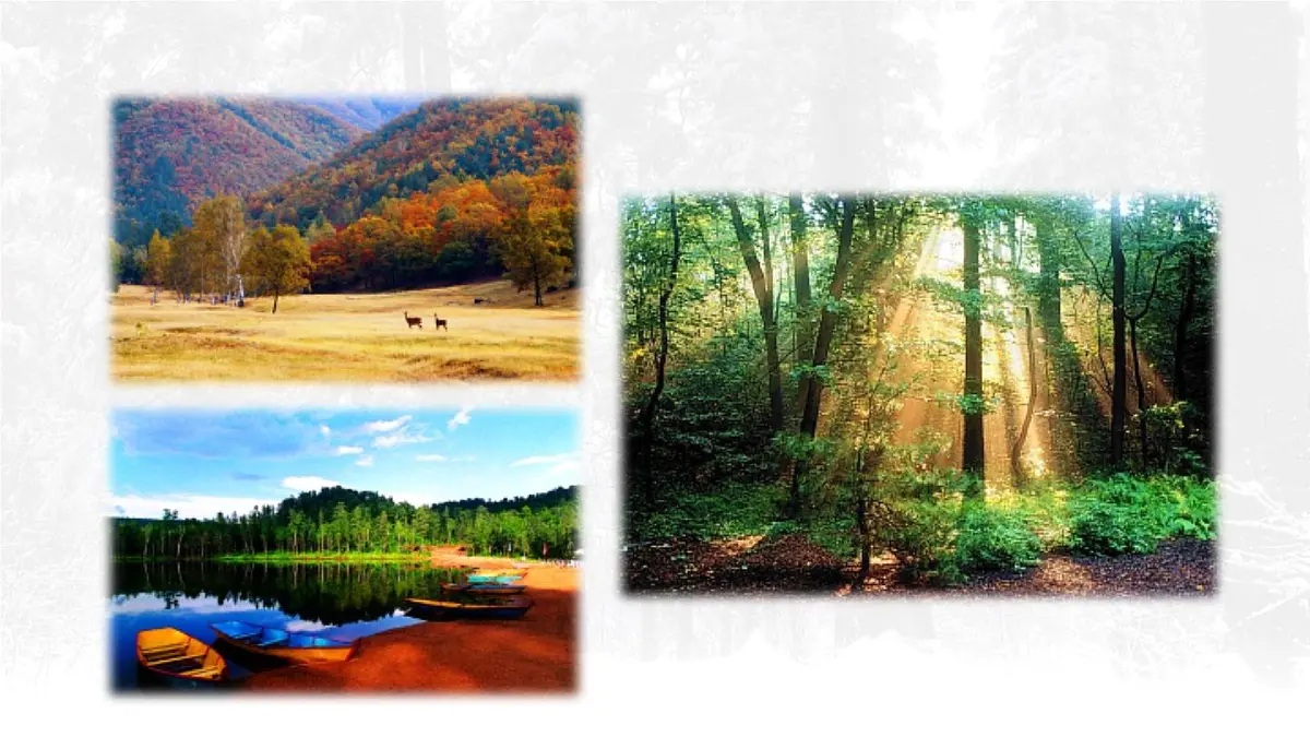 18 美丽的小兴安岭【交互版】第5页