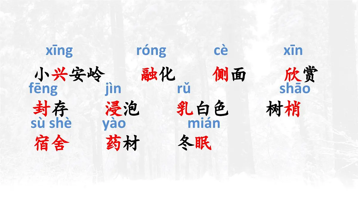 18 美丽的小兴安岭【交互版】第7页