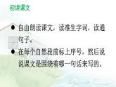 21 大自然的声音【课件】2025-2026学年部编版三年级语文上册