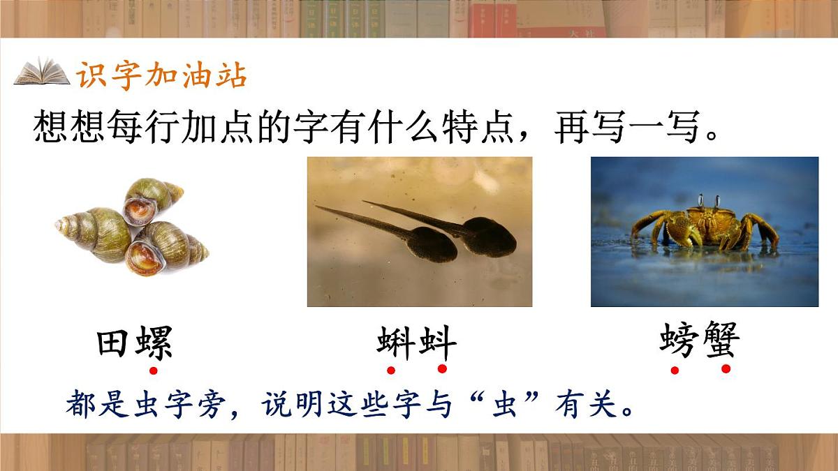 语文园地七【教案匹配版】第7页