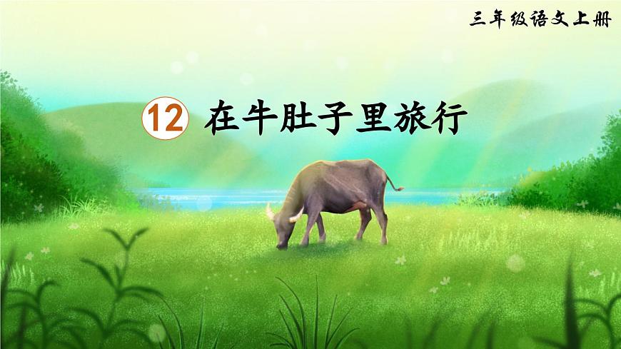 12 在牛肚子里旅行（课件）第3页