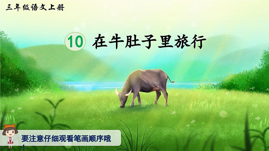 12 在牛肚子里旅行（生字讲解）第1页