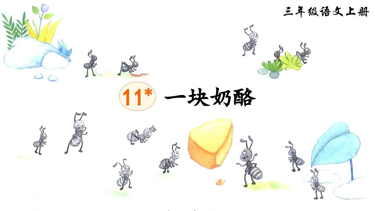 13 一块奶酪（课件）第3页