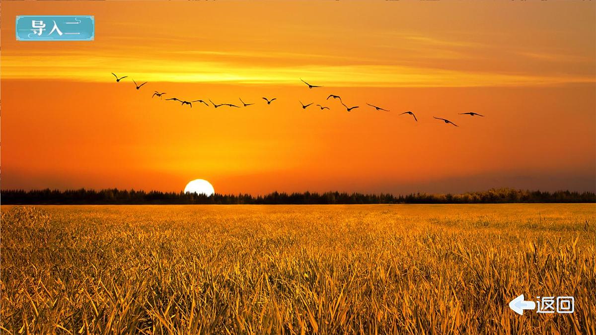 4 古诗三首（课件）第4页