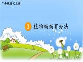 统编版（2024）语文二年级上册 第一单元 3 植物妈妈有办法 课件+教案+导学案