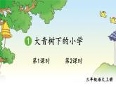 统编版（2024）语文三年级上册 第1单元 1 大青树下的小学 课件+教案+导学案