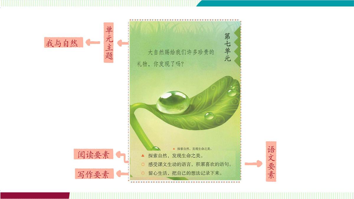 20.古诗三首第1页