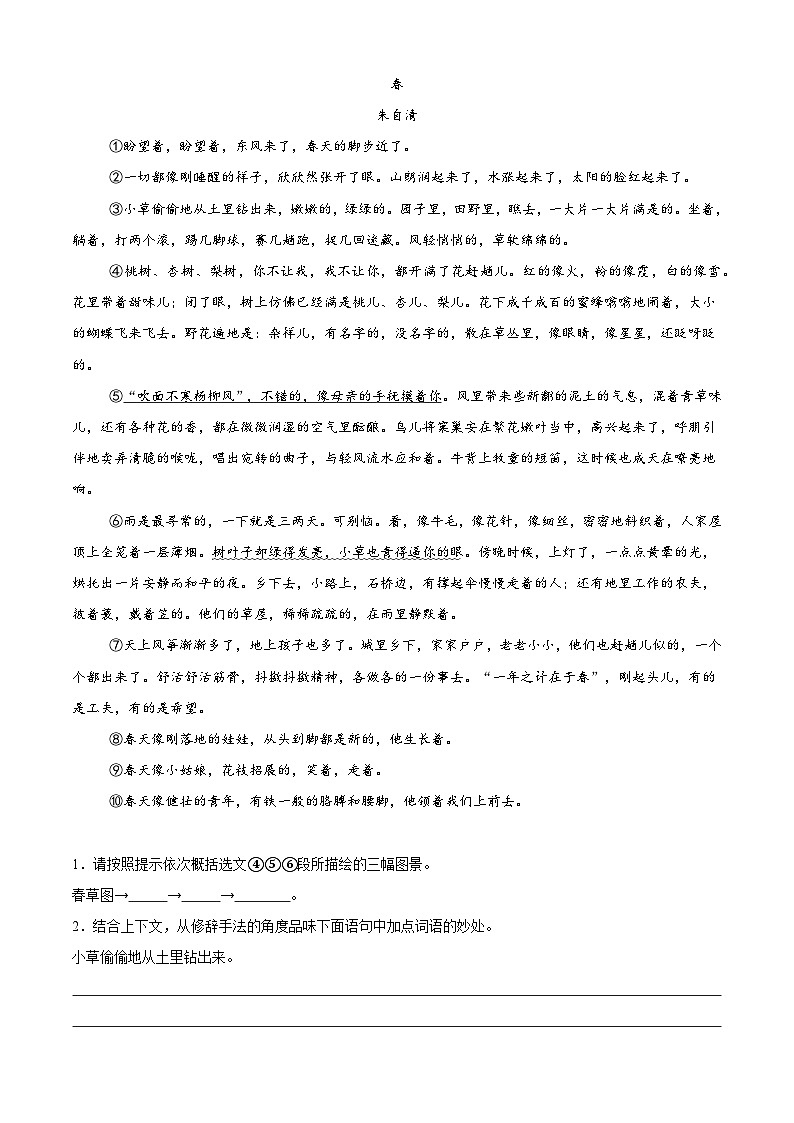 衔接点10 感官描写及其作用（解析版）2025年小升初语文无忧衔接（统编版2024）第3页