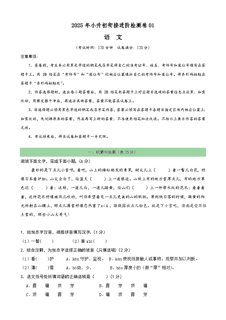 衔接进阶检测卷01（解析版）2025年小升初语文无忧衔接（统编版2024）第1页