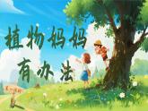 【任务型】3《植物妈妈有办法》课件+教案+音视频素材（部编版语文二上）