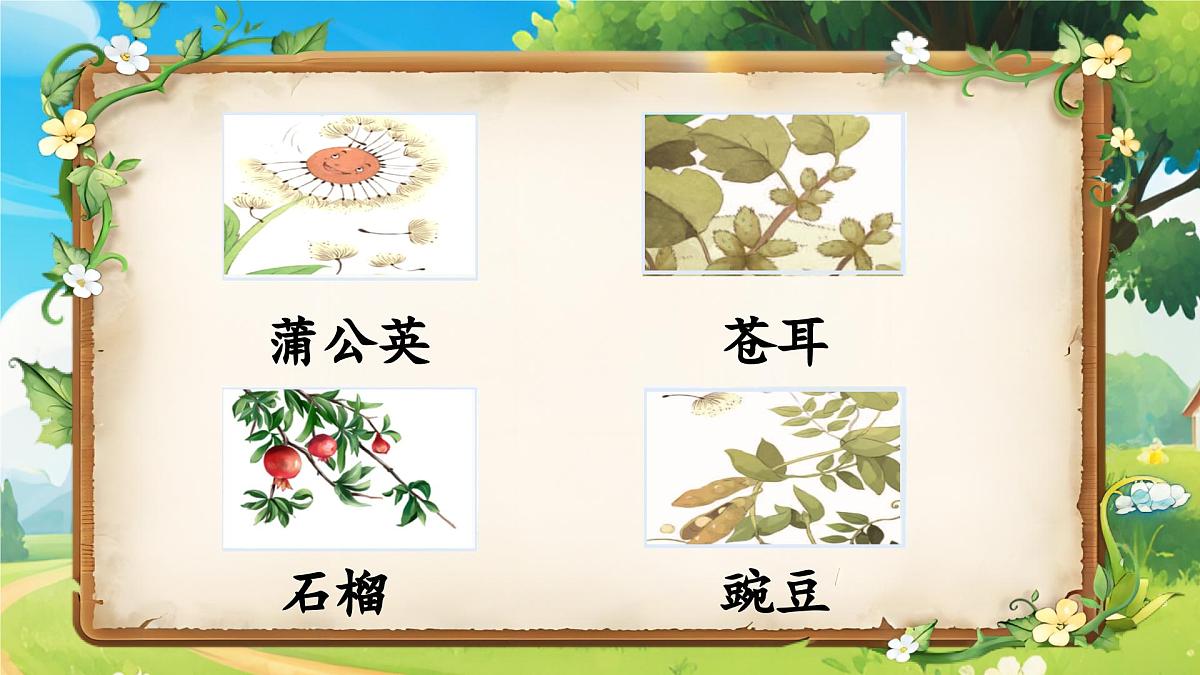3.植物妈妈有办法第7页
