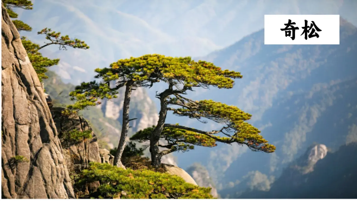 二上黄山奇石第6页