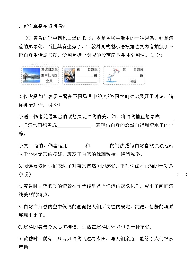 人教版五年级语文上册第一单元课时练习卷(1课白鹭)（含答案）第3页