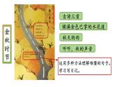 4 古诗三首（课件+教案）2025-2026学年部编版语文三年级上册