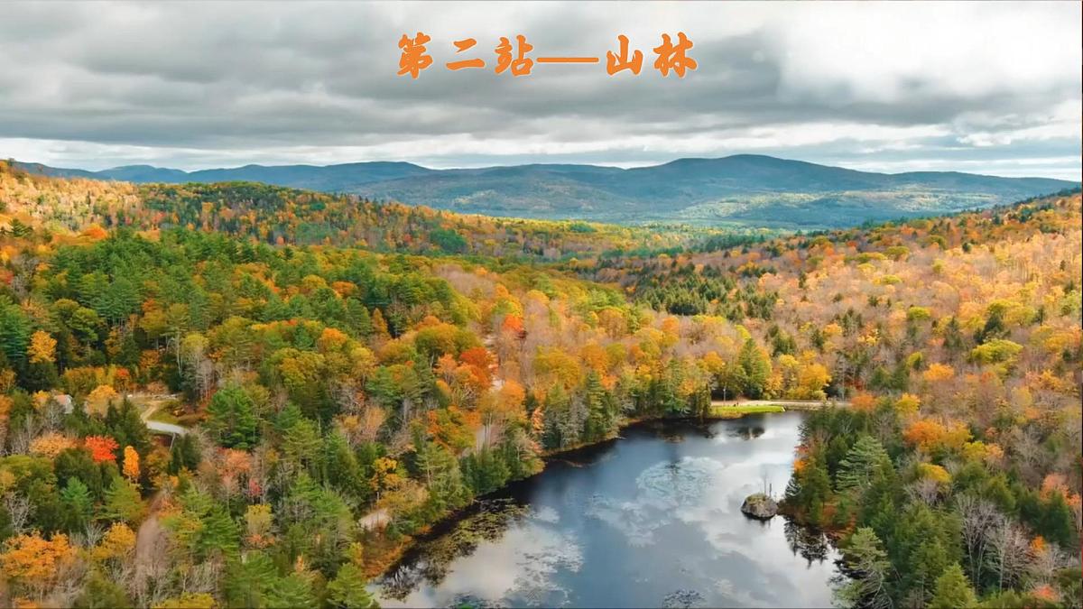 三上 4.古诗三首——《山行》第2页