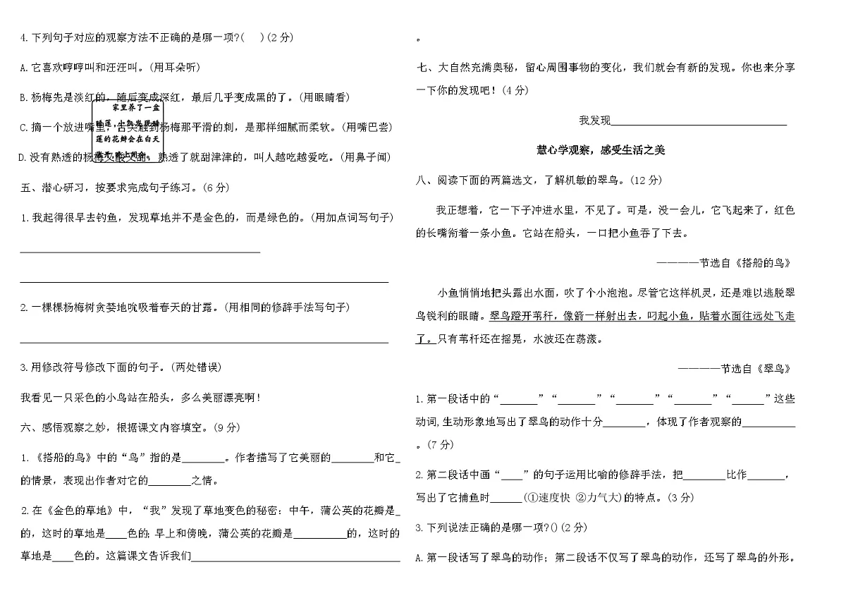 人教版语文三年级上第五单元综合素养评价卷（含答案）第2页