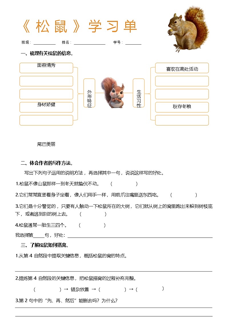 17《松鼠》学习单学案第1页