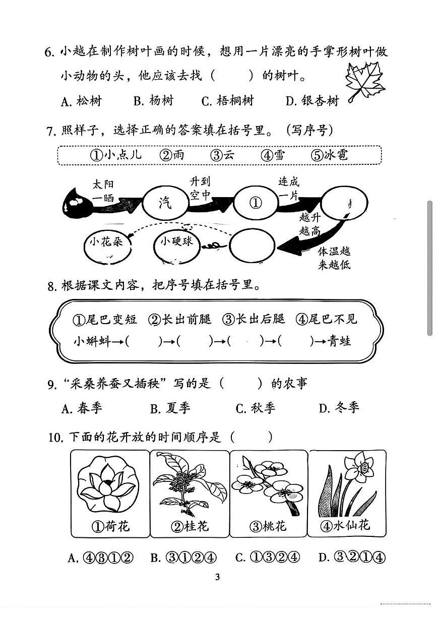 广东省广州市越秀区2025-2026学年二年级上学期阶段综合练习（一）语文试题（月考）第3页