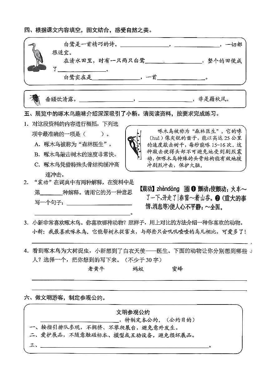 海南省海口市2025-2026学年五年级上学期综合练习语文试题（月考）第2页