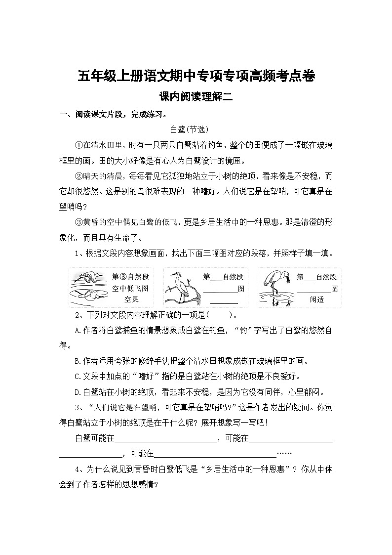 课内阅读理解二——2025-2026学年五年级上册语文期中专项复习卷（统编版）(含答案)第1页