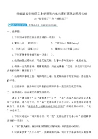 统编版（2024）五年级上册精彩极了和糟糕透了综合训练题