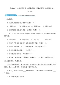 统编版（2024）五年级上册小岛达标测试