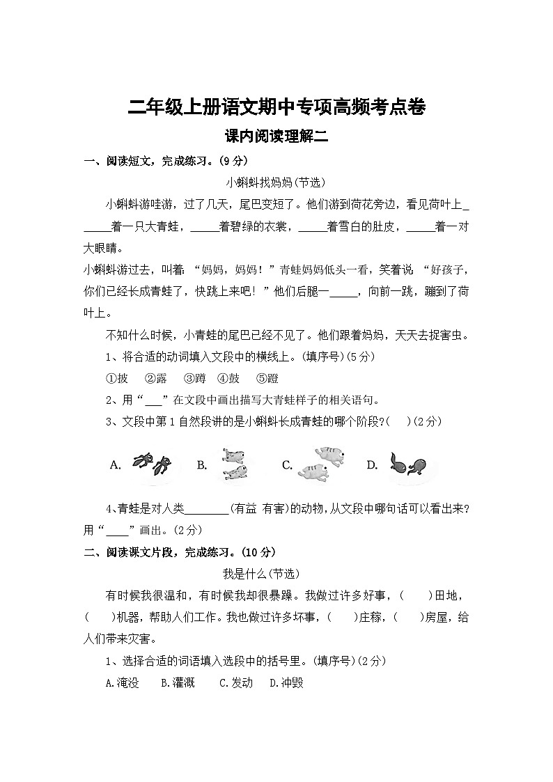 课内阅读理解二——2025-2026学年二年级上册语文期中专项高频考点卷（统编版）（含答案）第1页