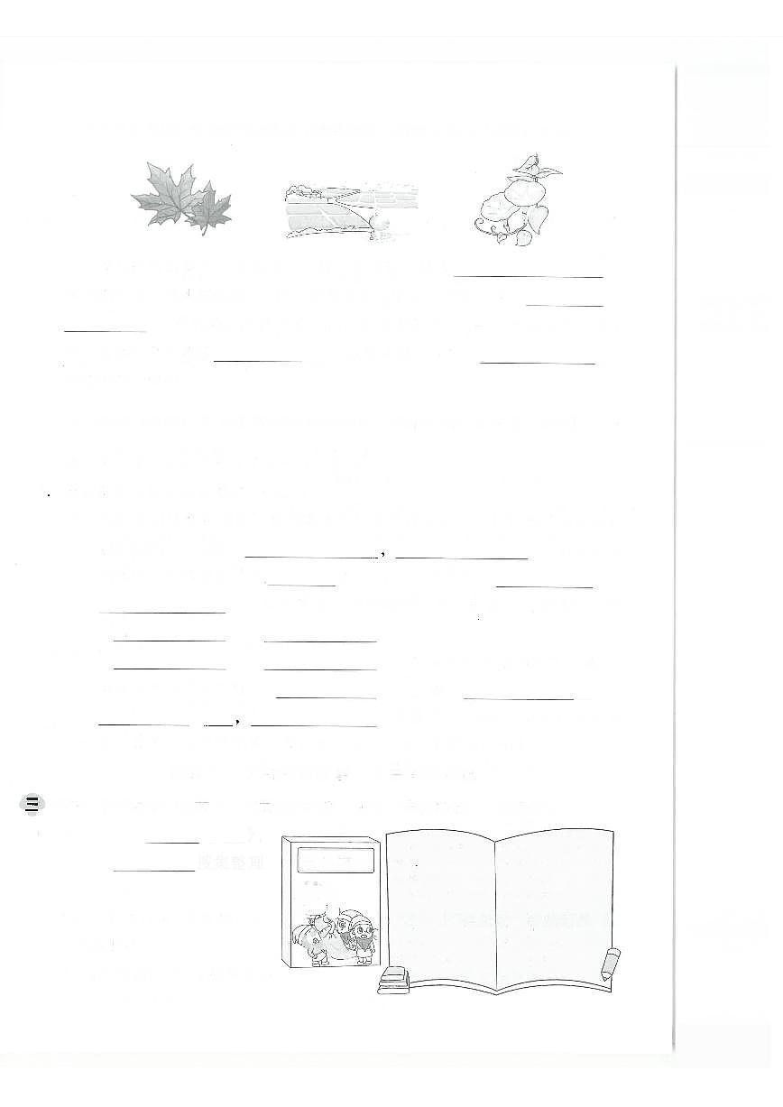 2025-2026学年部编版三年级语文上册 期中综合测试卷（含答案）第2页
