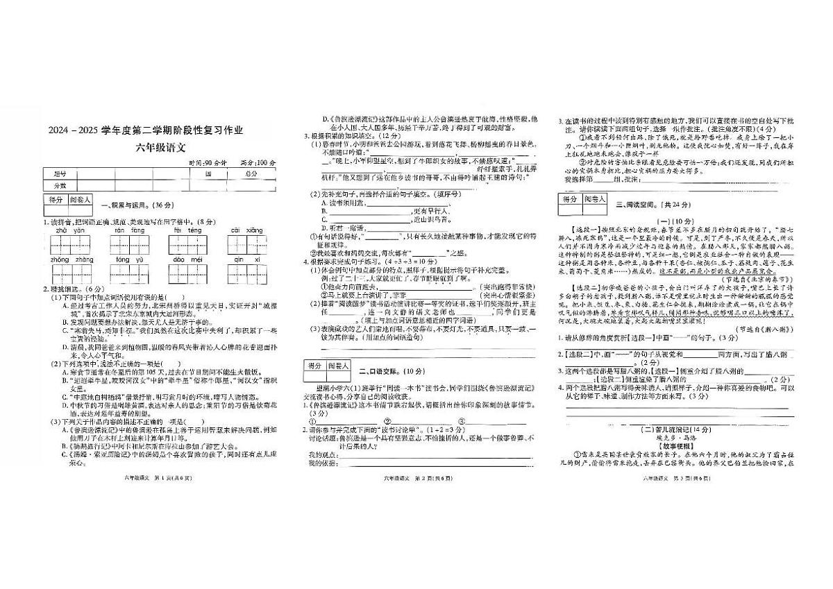 河南省驻马店市新蔡县2024-2025学年六年级下学期阶段性复习作业语文试卷（月考）第1页