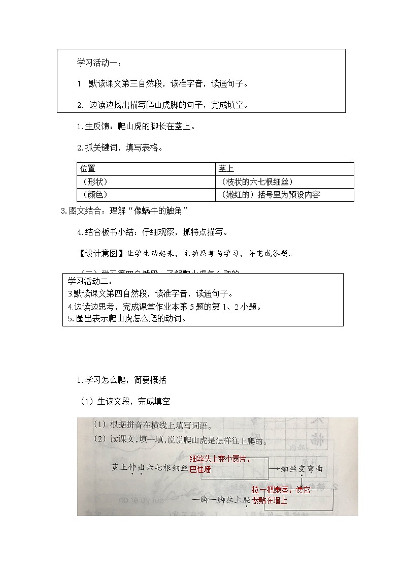 统编版语文四年级上册 10 爬山虎的脚 第二课时教案第2页