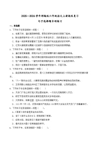 2025--2026学年部编版六年级语文上册期末复习句子选择题专项练习（含答案解析）