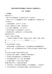 2025-2026学年部编版六年级语文上册期末复习句子 专项练习（含答案解析）