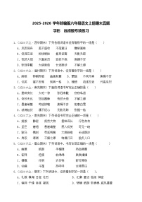 （期末真题）2025-2026学年部编版六年级语文上册期末真题字形  选择题专项练习（含答案解析）