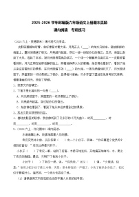 （期末真题）2025-2026学年部编版六年级语文上册期末真题课内阅读  专项练习（含答案解析）