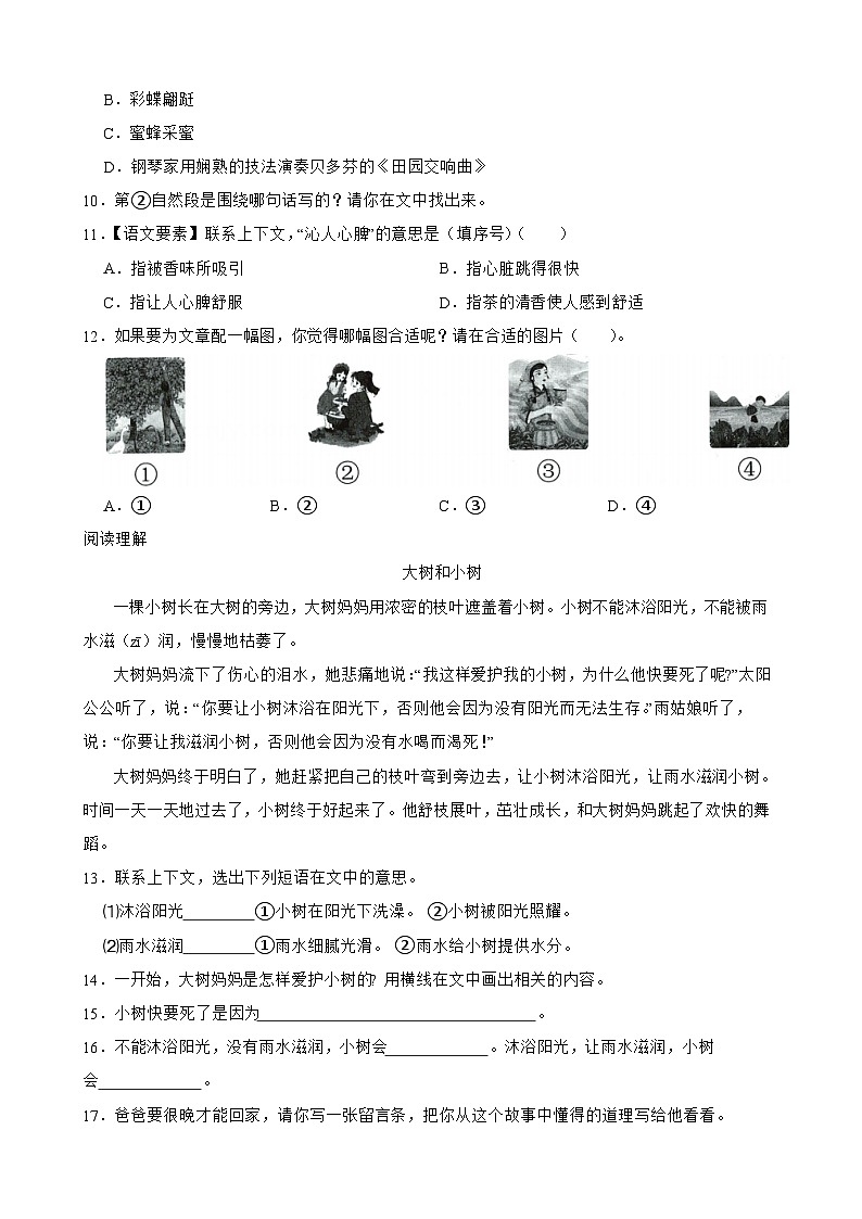 语文二年级上册统编版（2024）期中现代文阅读专项训练-（含答案）第3页