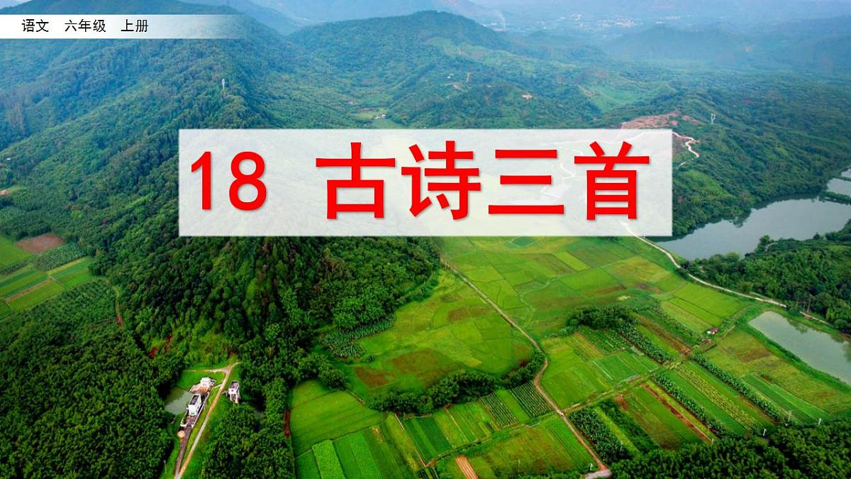 17826660第3页