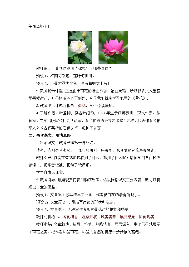 统编版（2024）语文三年级下册 3 荷花（教案）第2页