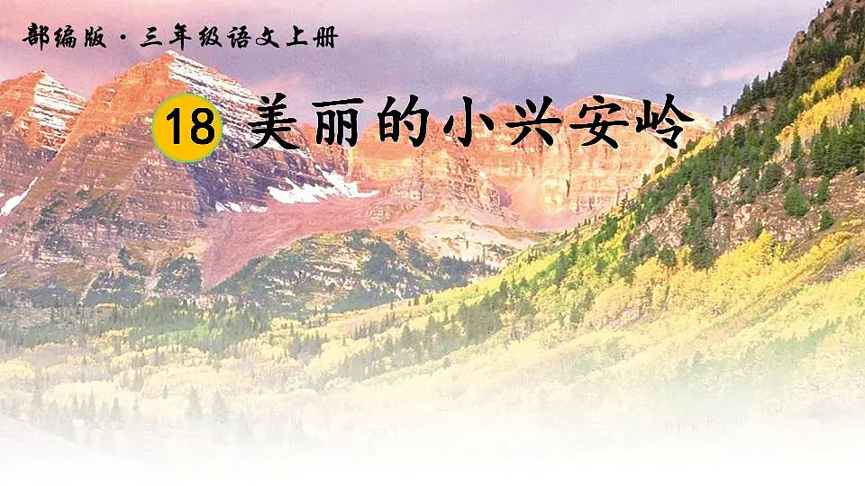 17867570第1页