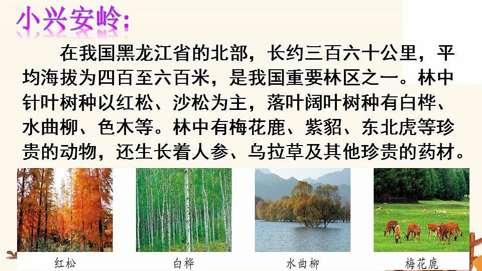 17867570第2页