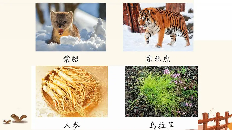17867570第3页