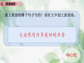统编版语文三年级上册（2024）21 大自然的声音 课件