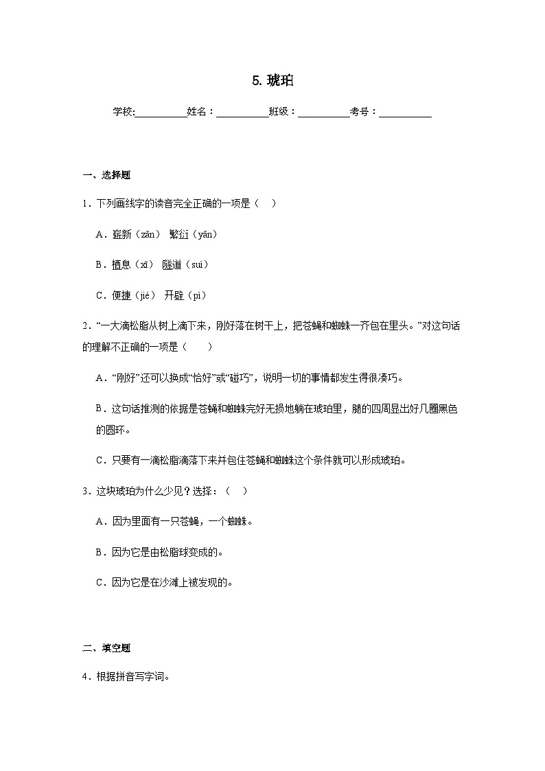 5.琥珀同步练习 统编版语文四年级下册第1页
