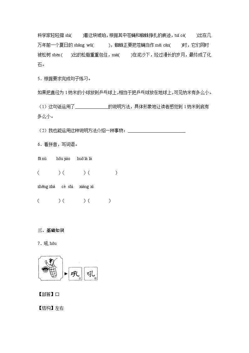 5.琥珀同步练习 统编版语文四年级下册第2页