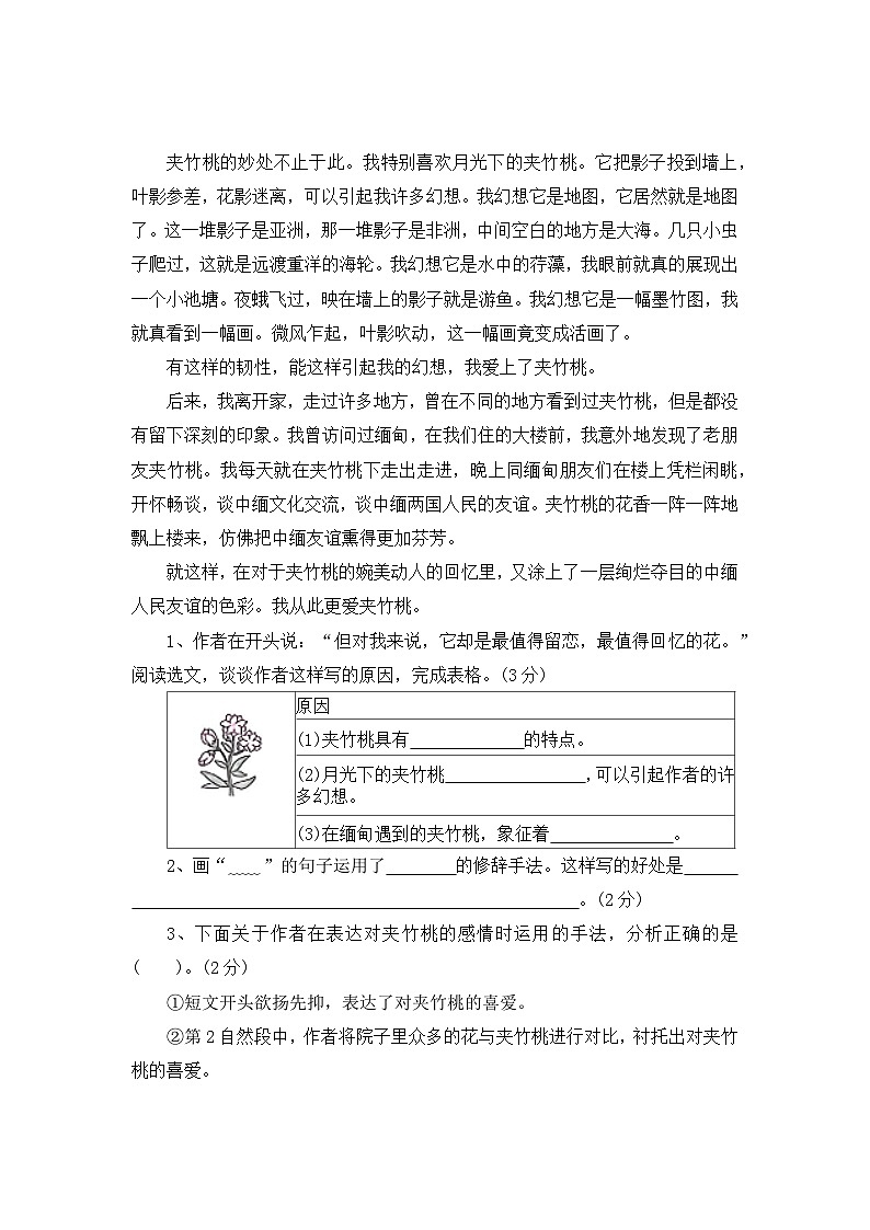 【寒假作业】第4天：快乐阅读(写景状物类阅读）——2025-2026学年六年级语文（统编版）（含答案）第2页