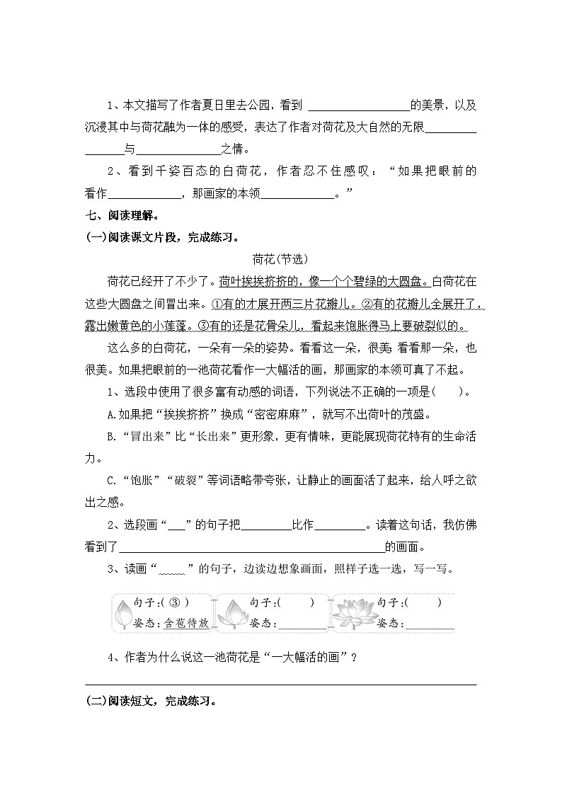 【寒假作业】第10天：快乐预习(3、荷花）——2025-2026学年三年级语文（统编版）（含答案）第2页