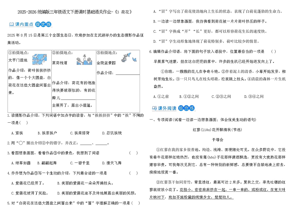 2025-2026统编版三年级语文下册课时基础通关作业-《3 荷花》(含答案)第1页