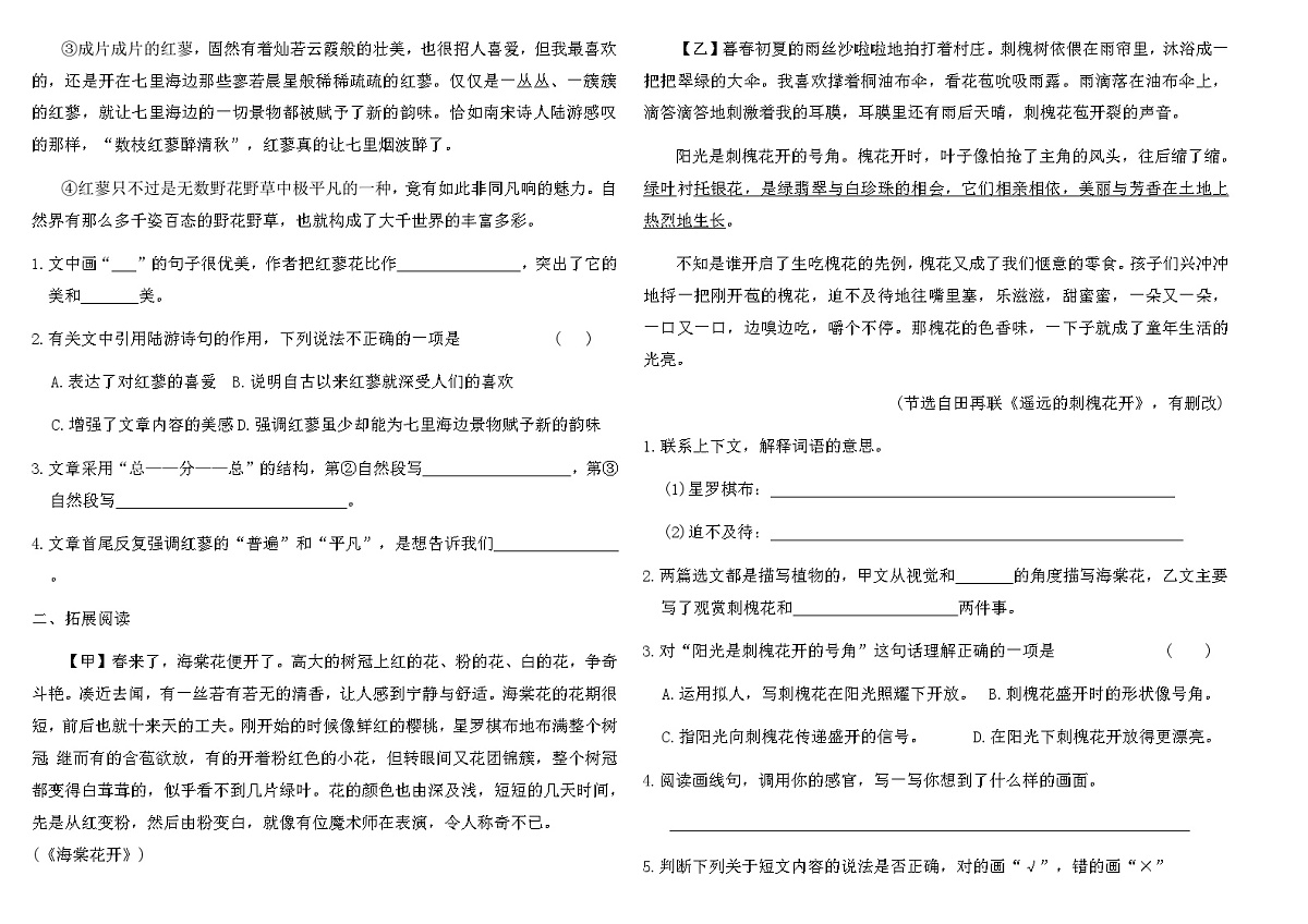 2025-2026统编版三年级语文下册课时基础通关作业-《3 荷花》(含答案)第2页