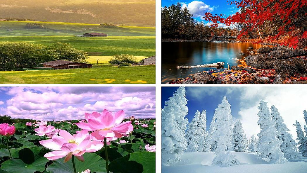 统编版语文三年级上册《习作 我们眼中的缤纷世界》教案第3页