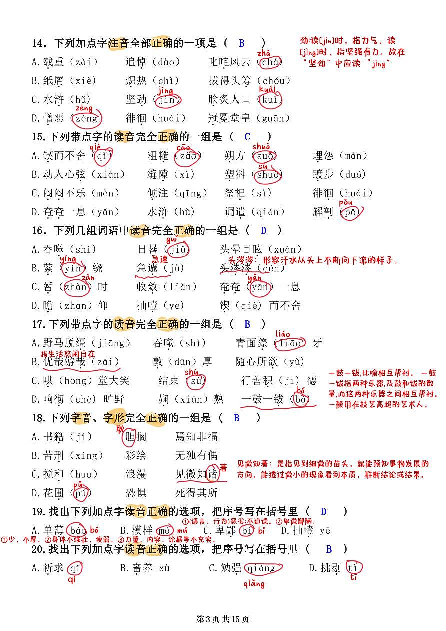 小升初语文提分专练01 字音解析（15页)第3页