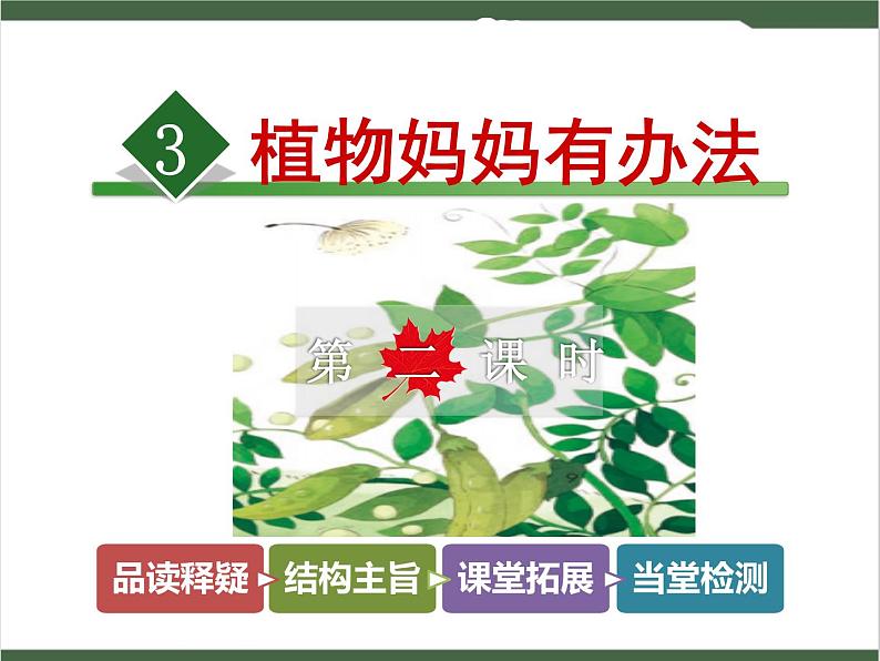 3《植物妈妈有办法》课件01